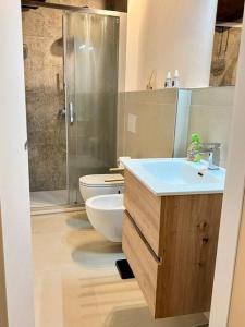 锡耶纳Franciosa Lodge - Cattedrale的浴室配有卫生间、盥洗盆和淋浴。