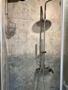锡耶纳Franciosa Lodge - Cattedrale的浴室里设有玻璃门淋浴