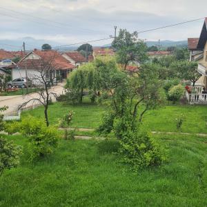 弗尔尼亚奇卡矿泉镇Vila Slavonija 2的绿树成荫的庭院和街道
