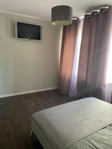 派尔努Cozy Sauna Apartment的一间卧室配有一张床和一台平面电视