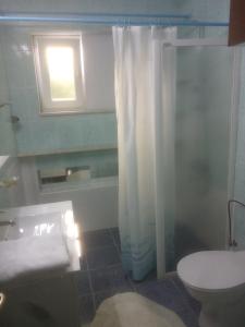 赫尔采格诺维Solar Apartments的带淋浴和卫生间的浴室以及窗户。