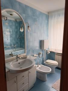 帕苏德尔托纳莱Appartemento Casa Giuli的一间带水槽、卫生间和镜子的浴室