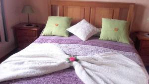 蓬塔戈尔达2 bedrooms villa with sea view private pool and furnished terrace at Puntagorda的一间卧室配有一张带白色毯子和枕头的床。