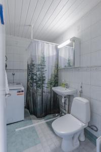 瓦尔凯阿科斯基Haave Apartments的浴室设有卫生间、水槽和淋浴帘