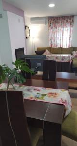 托雷斯Casa Valle的一间设有两张床和一张植物桌子的房间