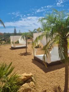 阿尔戈什Cosy Guest House - Villa das Alfarrobas的沙漠中的两张床,棕榈树