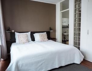 阿珀尔多伦Center Appartement Apeldoorn的卧室配有一张带两个枕头的大白色床