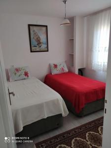 迪迪姆Denizli Öğretmenler Sitesi的一间卧室配有两张床和红色毯子