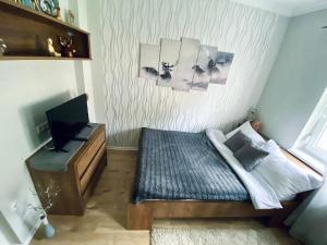 鲍洛通拜雷尼IrányBerény Rezidencia的小房间设有一张床和一张书桌及电视