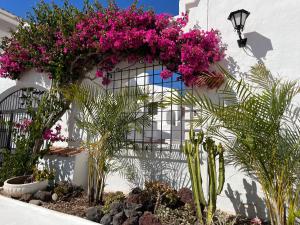 El GuinchoCoral Bay Port Royale的白色墙壁上花园中种有粉红色的花朵