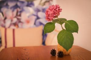 因斯布鲁克Villa Marwa - eine Ruheoase im Grünen的一张桌子上花瓶里的粉红色花