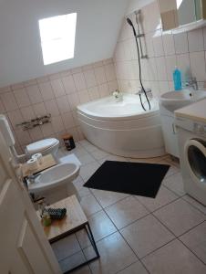 韦尔道Stella s Monteurswohnungen的浴室配有卫生间、盥洗盆和洗衣机。