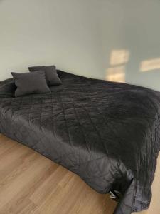 维尔纽斯Prie Vilneles Apartment的一张大型黑色床,位于木地板上