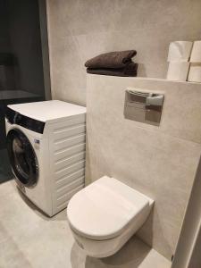 维尔纽斯Prie Vilneles Apartment的一间带卫生间和洗衣机的浴室