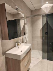 维尔纽斯Prie Vilneles Apartment的一间带水槽和淋浴的浴室
