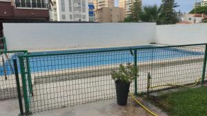 贝尼卡西姆Apartamento con piscina y cerca de la playa的游泳池旁有盆栽的围栏