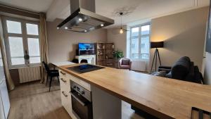 里摩日Les appartements de Louis的一个带台面的厨房和一间客厅