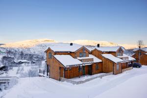 TyinkryssetFilefjellstuene的雪中大木屋