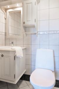 TyinkryssetFilefjellstuene的白色的浴室设有卫生间和水槽。