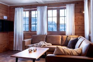 TyinkryssetFilefjellstuene的客厅配有沙发和桌子