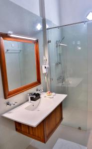 锡吉里亚Tepraas Sigiriya的浴室配有盥洗盆和带镜子的淋浴