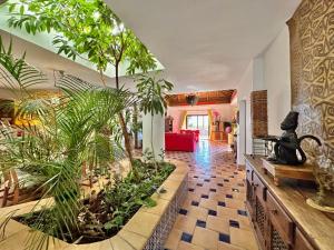 吉亚德伊索拉Tropical Garden Finca的客厅里种满了植物
