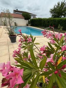 LavardacLes voyages de Louison的游泳池前的一束粉红色的花
