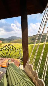 ČajetinaVikendica Gradina Zlatibor的坐在吊床上,眺望田野的人