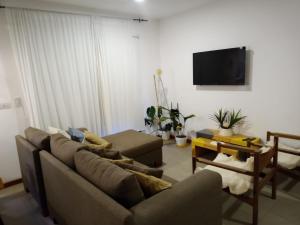 圣马丁德洛斯Hermoso Departamento Céntrico en San Martin de los Andes的带沙发和平面电视的客厅