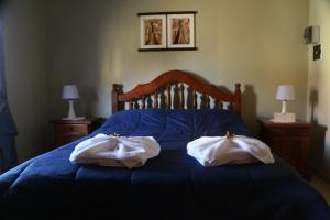 比亚莱特马西Apart Cabañas El Tala的蓝色床上的两条毛巾和两盏灯