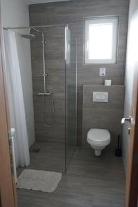 大格拉迪什泰Siesta Srebrno Jezero的带淋浴和卫生间的浴室