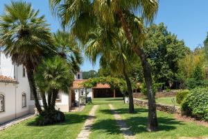 Quinta do Calvário的一座棕榈树花园