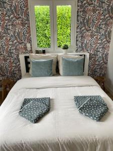 Néant-sur-YvelMaison cosy avec jacuzzi的一张带两个枕头的床和两个窗户