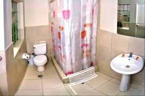 阿雷基帕COLONIAL SAN LAZARO的浴室设有卫生间、水槽和淋浴帘