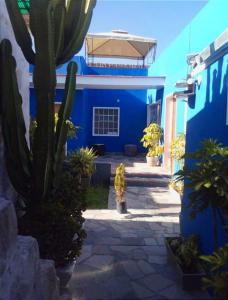 阿雷基帕COLONIAL SAN LAZARO的前面有仙人掌的蓝色房子