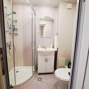 扬博尔Apartment RELAX in the city center, free parking的带淋浴、盥洗盆和卫生间的浴室