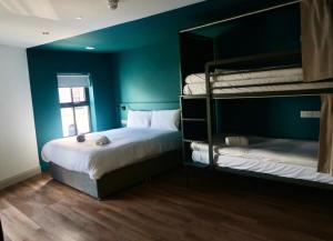 巴利纳Heyday Hostel Ballina的一间卧室设有两张双层床和蓝色的墙壁