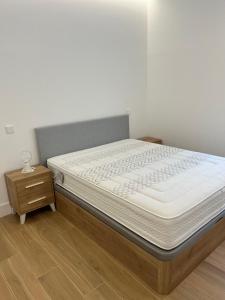 马德里Exyca Bernabéu的一间卧室配有一张床和一个床头柜