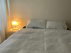 苏黎世Lion BB Swiss的一张带白色棉被和灯的床