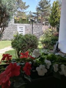 兹拉蒂博尔博若维奇别墅公寓的门前种有红白色花的花园
