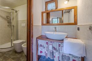 库马约尔Baita Margherita - Val Veny的一间带水槽、卫生间和镜子的浴室