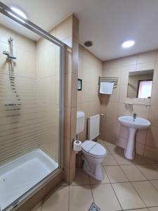 普雷代亚尔Vila Vitalis的带淋浴、卫生间和盥洗盆的浴室