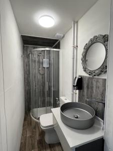 斯旺西Ensuite Double Room, by Swansea University, Sketty, R2的一间带水槽、卫生间和镜子的浴室