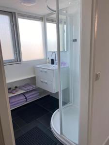 滨海卡特韦克Guesthouse Katwijk aan Zee的带淋浴和盥洗盆的浴室