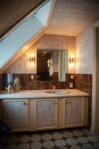 塔努姆斯海德塔努姆杰斯吉法瑞酒店的一间带水槽和大镜子的浴室