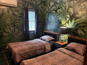 圣佩德罗Belize Budget Suites的一间卧室设有两张床,墙上有植物