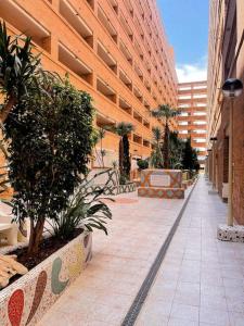 博尔瑟拉尔Apartamento Torremar M的树木和植物的建筑的走道