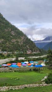 SaturangBaspa Valley Adventure Camp的山地里的一组帐篷