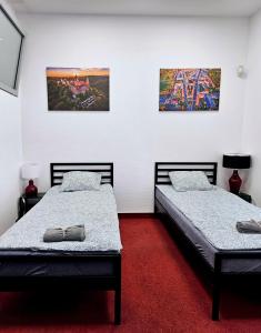 瓦乌布日赫Noclegi Wałbrzych Centrum的墙上画作的房间里设有两张床