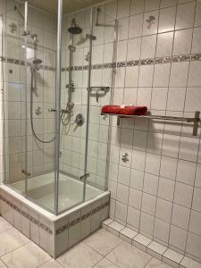 Gennachblick的带淋浴的浴室和玻璃门